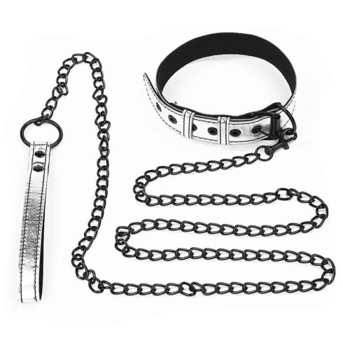 Bondage Fetish Metallic Pup Collar With Leash ~ 10-LV761004-6