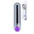 Strong Bullet Vibrator Silver/Purple USB 10 Function 22-00032
