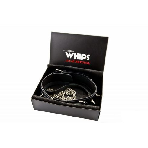 WHIPS Collar for men with flowers and leash ~ 58-00010
