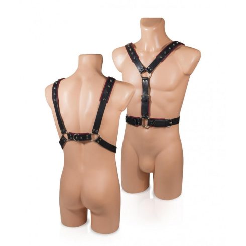 WHIPS harness 1, red ~ 58-00031