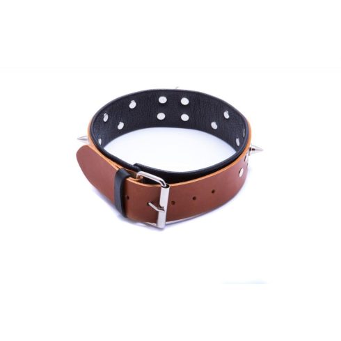 WHIPS Collar for men with a leash, cognac ~ 58-00042