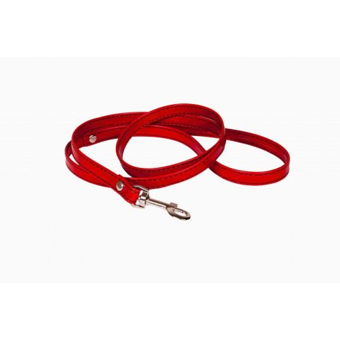 WHIPS shiny, collar leash, red ~ 58-00074