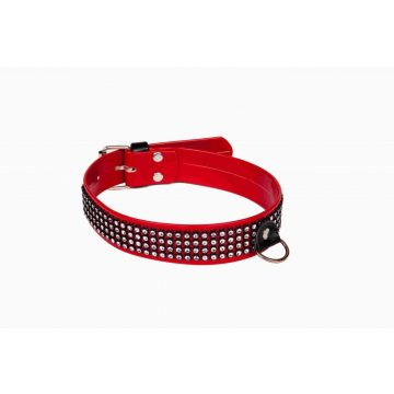   WHIPS shiny, Collar for women with cristals, red, 3cm ~ 58-00079